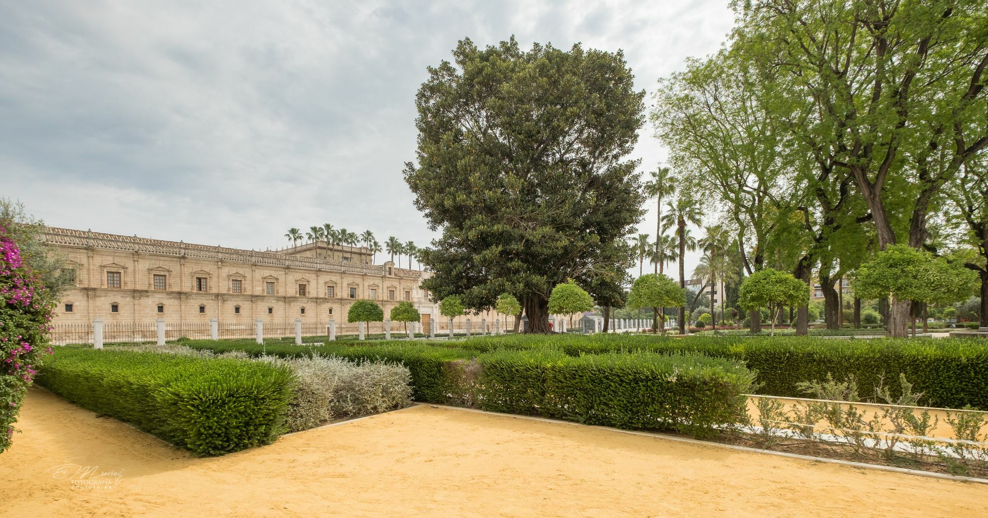 Activa Macarena Lägenhet Sevilla Exteriör bild